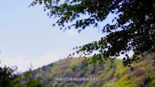 hahabet棋牌登录